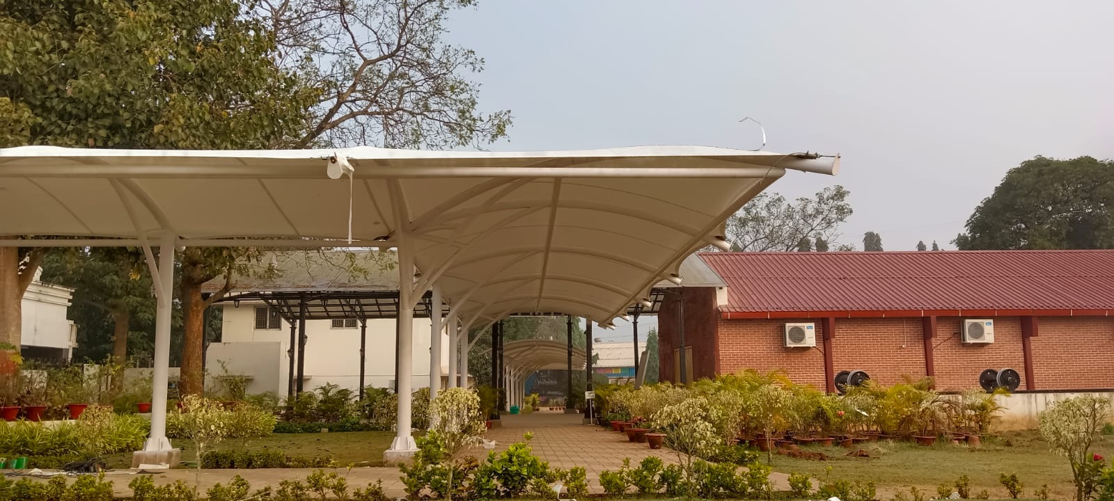 Tensile Canopy